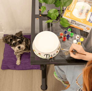 DIY Personalised Pet Bowl 9pc