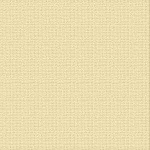 216gsm Cardstock 12"x12" - Couture Creations