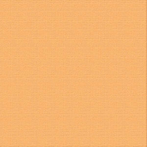 250gsm Cardstock 12"x12" - Couture Creations