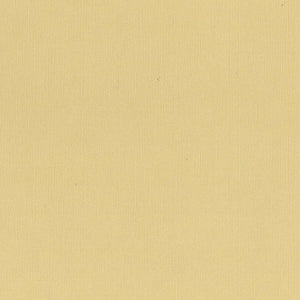 216gsm Cardstock 12"x12" - Couture Creations