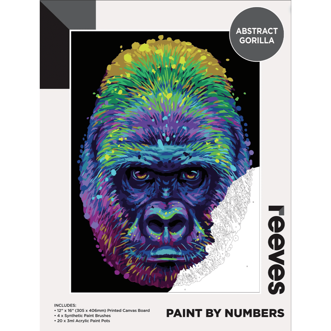 Reeves Paint by Numbers Kits