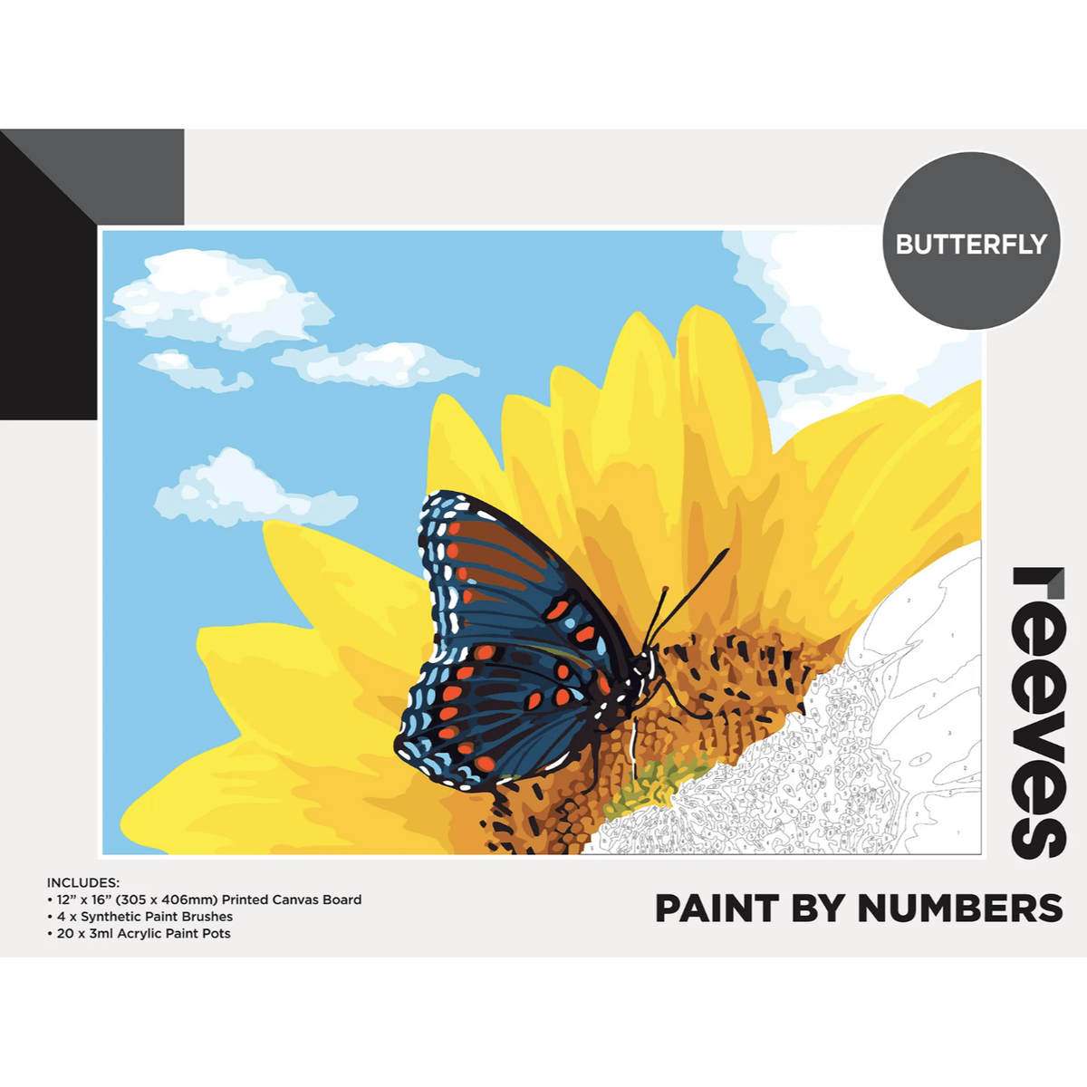 Reeves Paint by Numbers Kits