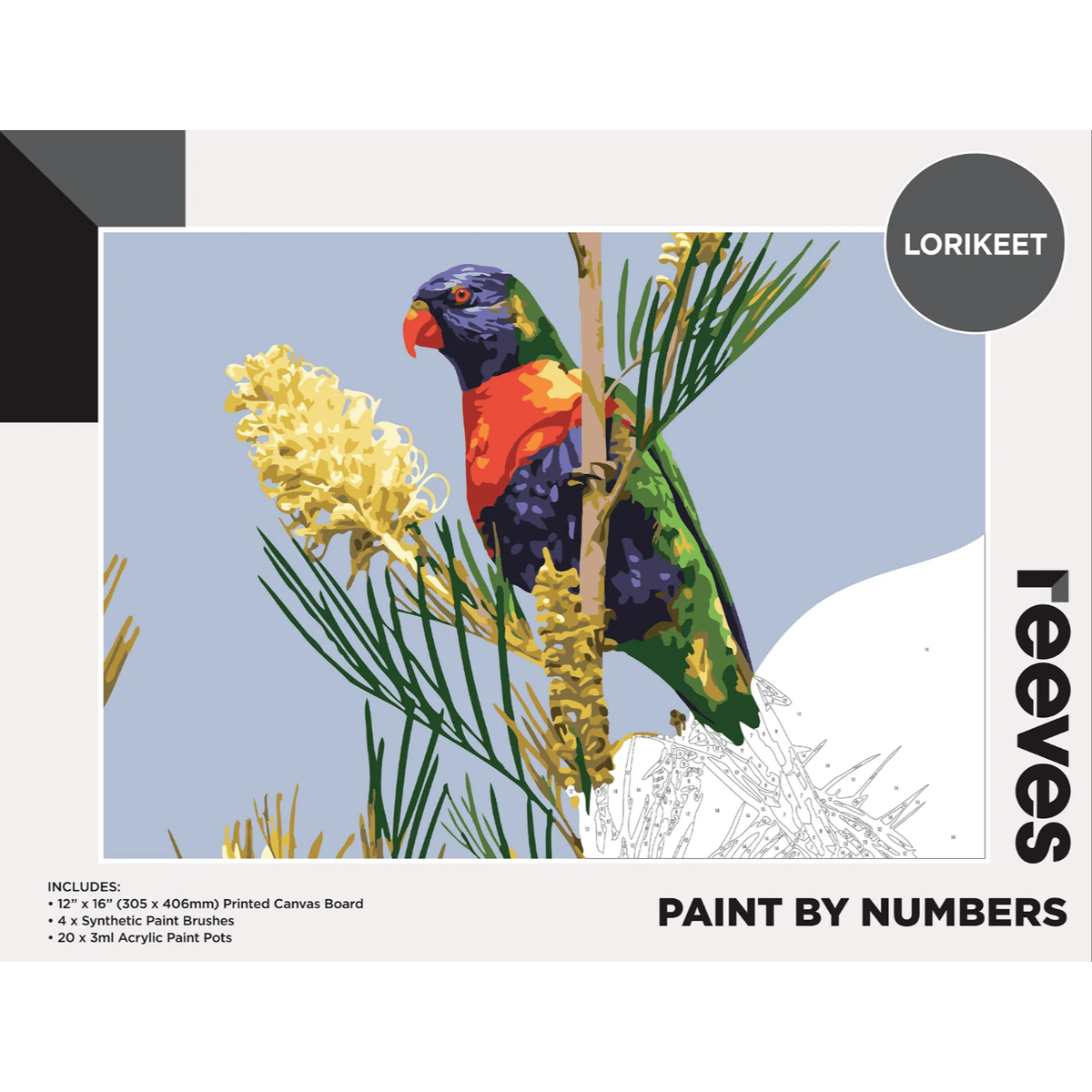 Reeves Paint by Numbers Kits