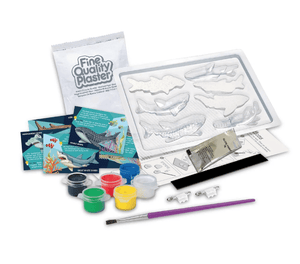 Mould & Paint Sharks