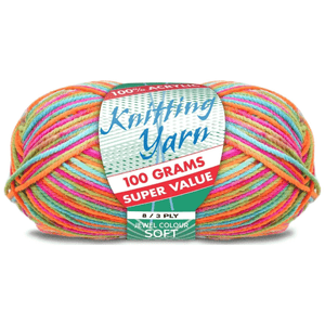 Yatsal Knitting Yarn 8 ply 100g Multicolour