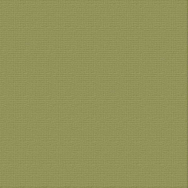 216gsm Cardstock 12"x12" - Couture Creations