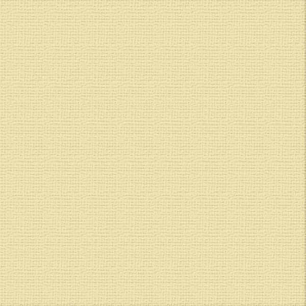 216gsm Cardstock 12"x12" - Couture Creations