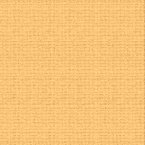 250gsm Cardstock 12"x12" - Couture Creations