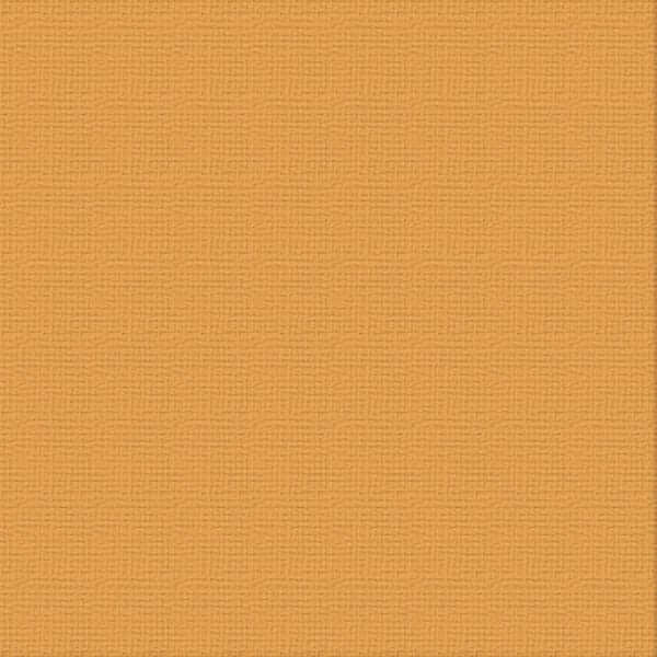 250gsm Cardstock 12"x12" - Couture Creations