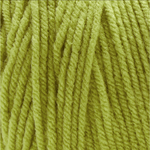 Premier Basix Worsted yarn 10Ply 200G