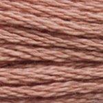 DMC Stranded Cotton Brown ( 64 Colours ) - CRAFT2U