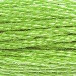 DMC Stranded Cotton Green ( 63 Colours ) - CRAFT2U