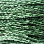 DMC Stranded Cotton Green ( 63 Colours ) - CRAFT2U