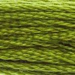 DMC Stranded Cotton Muted Green ( 29 Colours ) - CRAFT2U