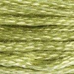 DMC Stranded Cotton Muted Green ( 29 Colours ) - CRAFT2U