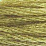 DMC Stranded Cotton Muted Green ( 29 Colours ) - CRAFT2U