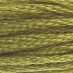 DMC Stranded Cotton Muted Green ( 29 Colours ) - CRAFT2U