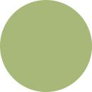 DMC Stranded Cotton Muted Green ( 29 Colours ) - CRAFT2U