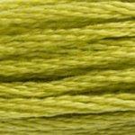 DMC Stranded Cotton Muted Green ( 29 Colours ) - CRAFT2U