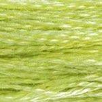 DMC Stranded Cotton Muted Green ( 29 Colours ) - CRAFT2U