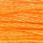 DMC Stranded Cotton Orange ( 19 Colours ) - CRAFT2U