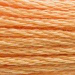 DMC Stranded Cotton Orange ( 19 Colours ) - CRAFT2U