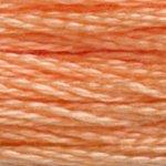 DMC Stranded Cotton Orange ( 19 Colours ) - CRAFT2U