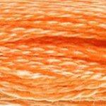 DMC Stranded Cotton Orange ( 19 Colours ) - CRAFT2U