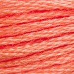 DMC Stranded Cotton Orange ( 19 Colours ) - CRAFT2U