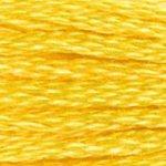 DMC Stranded Cotton Yellow ( 27 Colours ) - CRAFT2U