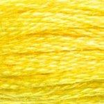 DMC Stranded Cotton Yellow ( 27 Colours ) - CRAFT2U