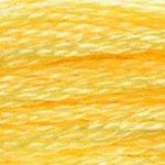 DMC Stranded Cotton Yellow ( 27 Colours ) - CRAFT2U