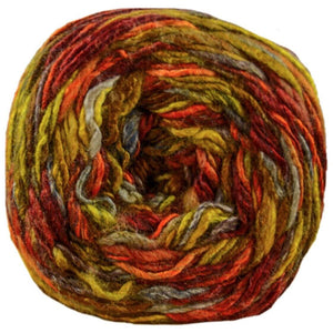 Premier Spun Colors Yarn 10ply 200g