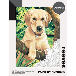 Reeves Paint by Numbers Kits (8 designs)