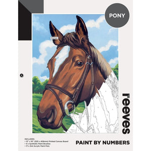 Reeves Paint by Numbers Kits (8 designs)